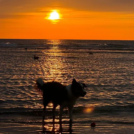 Ruime Frontaal Zeezicht Aaa Locatie Apartamento *