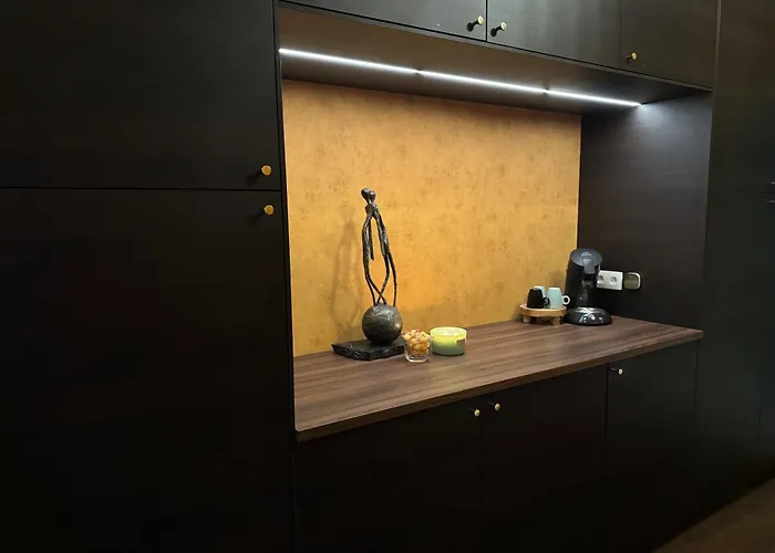 Ruime Frontaal Zeezicht Aaa Locatie Oostende