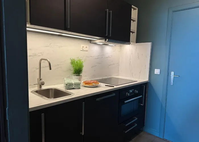 Ruime Frontaal Zeezicht Aaa Locatie Lejlighed Oostende